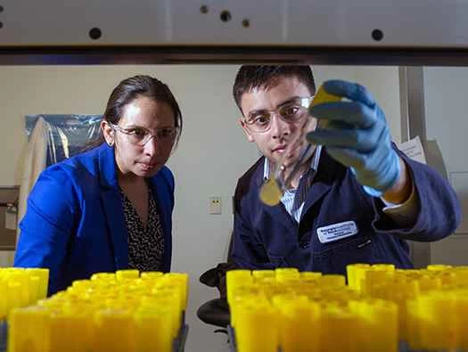 ミサイルやロケットは近い将来、松の木のような匂いになるかもしれない