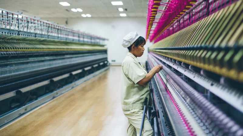 完璧な生地を選ぶ