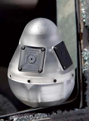 2ポンドのドラゴンエッグ