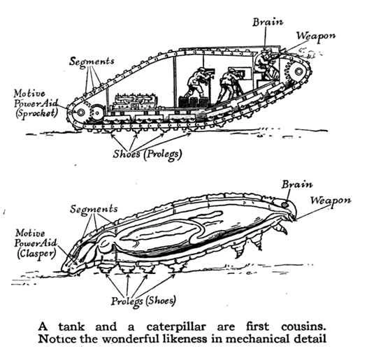 アーカイブギャラリー: バイオミミクリーのベスト