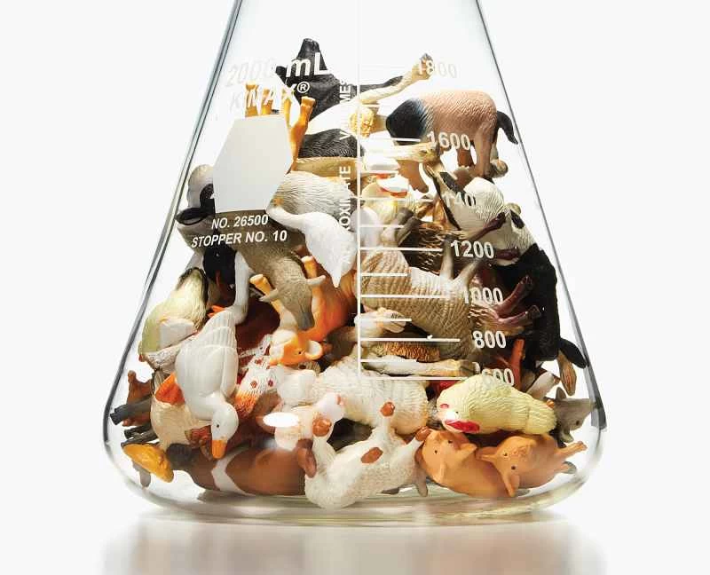 人工肉は世界を救うことができるのか？