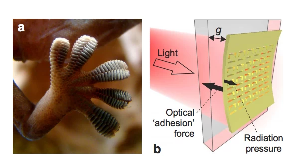 メタマテリアルは全く新しい種類の力を発揮できる