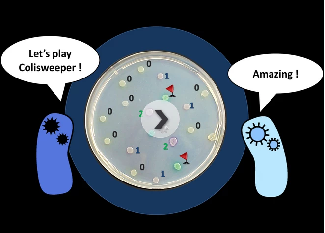 コリスイーパー