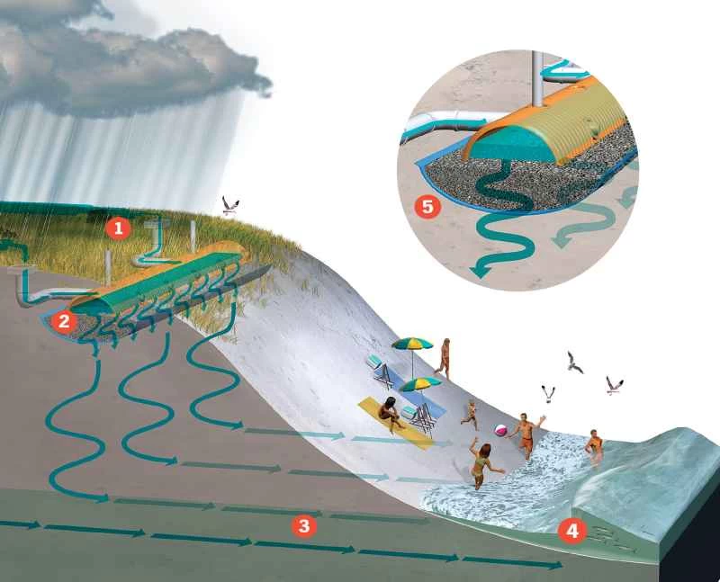 ビーチを自然にきれいにする方法