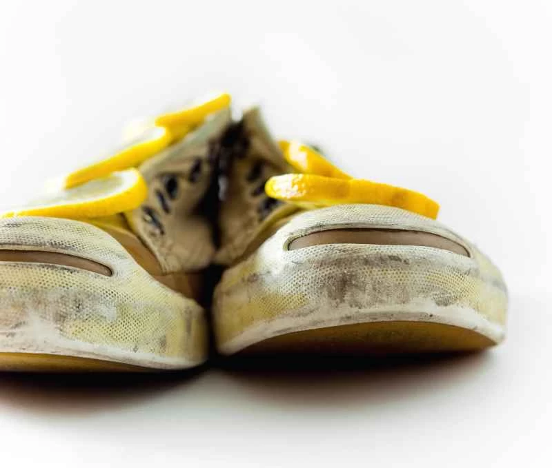 匂いのバイオメトリクス