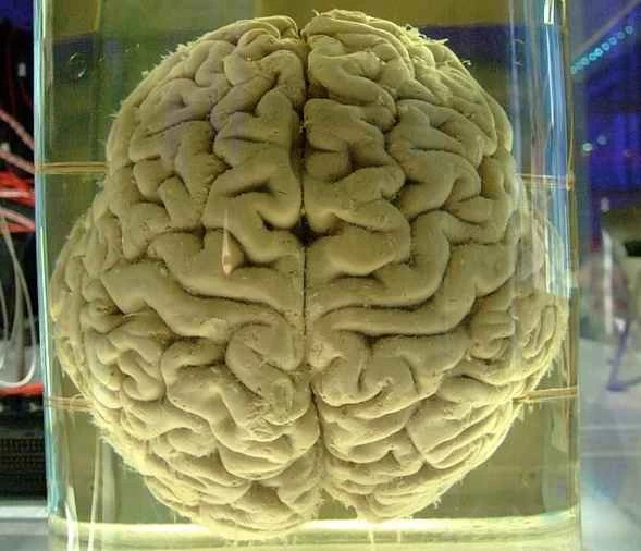 現在生きている人間には、新しいロボットの体に意識をアップロードする機会があるのでしょうか?