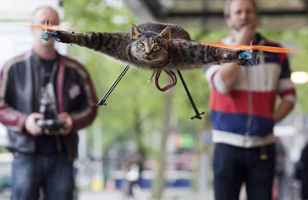 動画：オランダのアーティスト、死んだ猫を空飛ぶクワッドコプターに改造