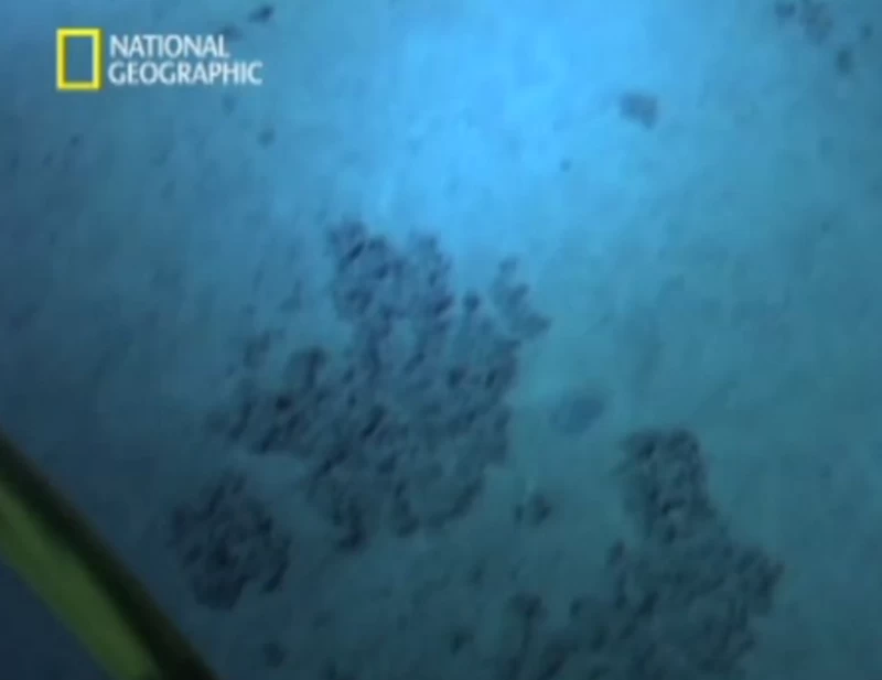 ビデオ：ジェームズ・キャメロンの記録的チャレンジャー海淵潜水の最初の映像