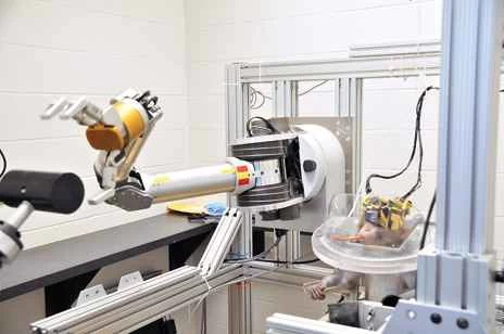 猿の思考で制御されるロボットの手足