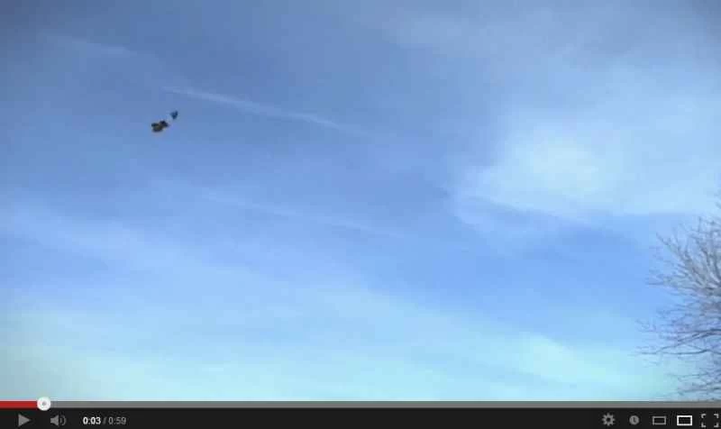 ワシが赤ちゃんをさらうビデオは狂気じみているが、偽物でもある