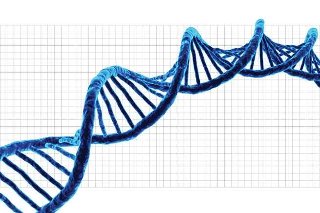合成ゲノミクス