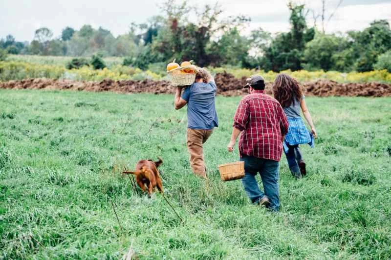 ミレニアル世代の若い農家