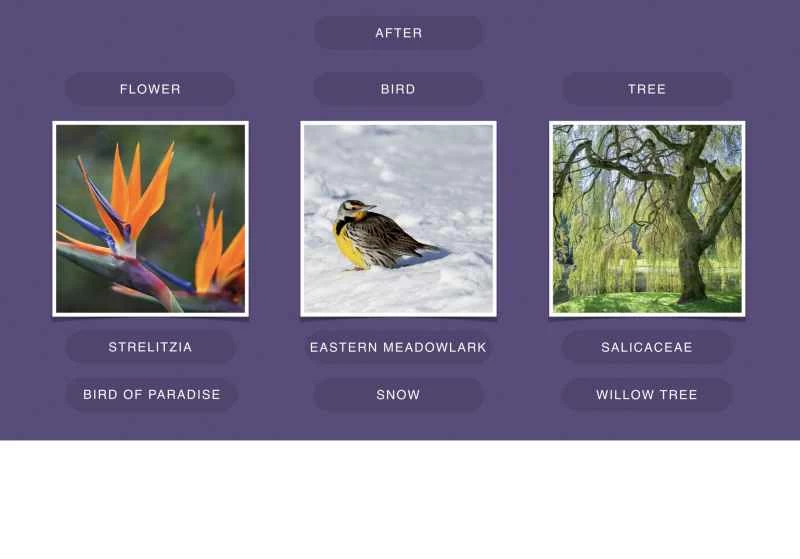 フェイスブック