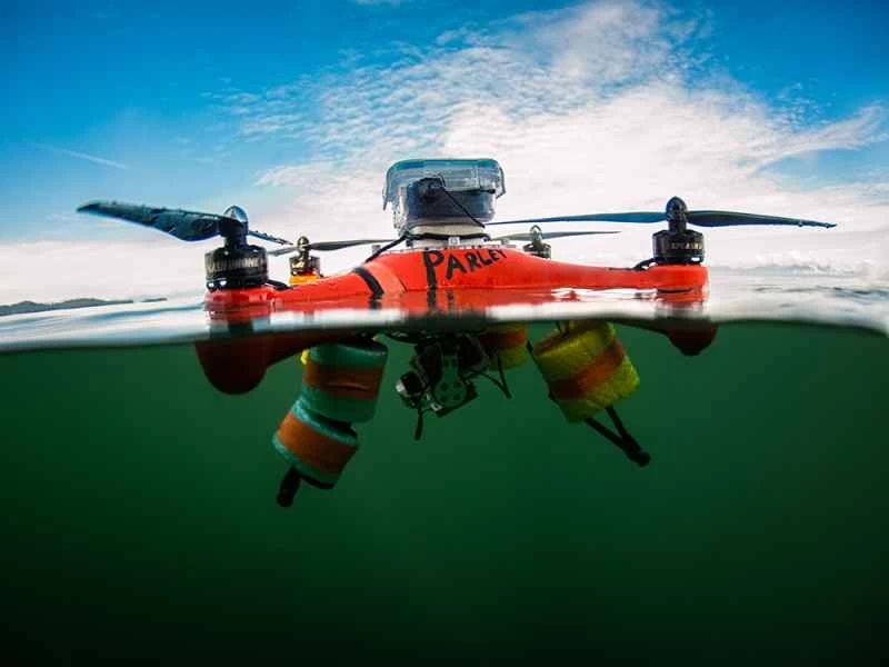 ドローンは科学者をクジラの鼻水の中のような未知の場所に連れて行くことができる