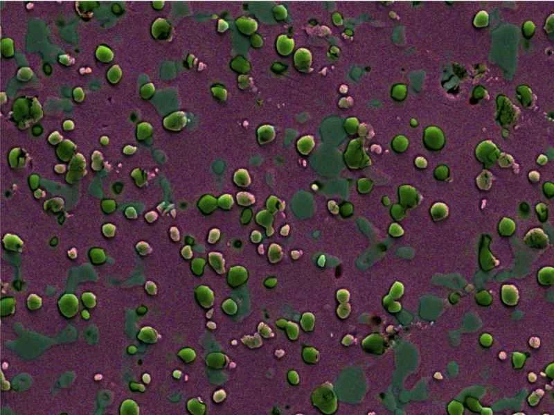 S90V 紫がかった部分はベース鋼 灰色の粒子はクロム炭化物 緑色の粒子はバナジウム炭化物