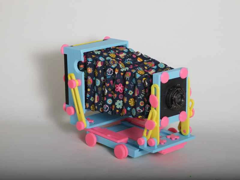 青いカメラダクティル