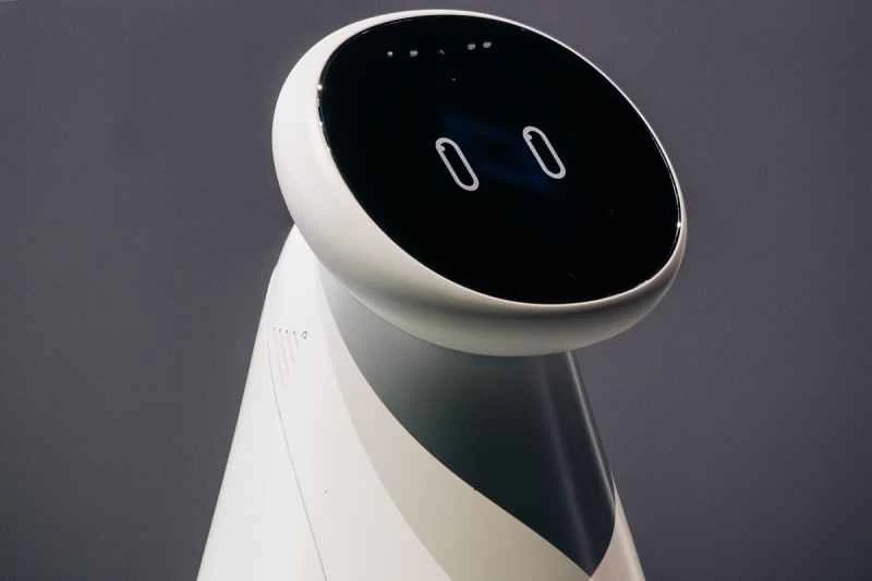 これは死ぬ前に見るフレンドリーなロボットの顔かもしれない