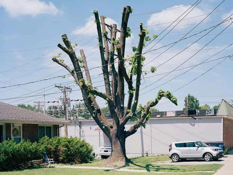 標準カメラのサンプル画像