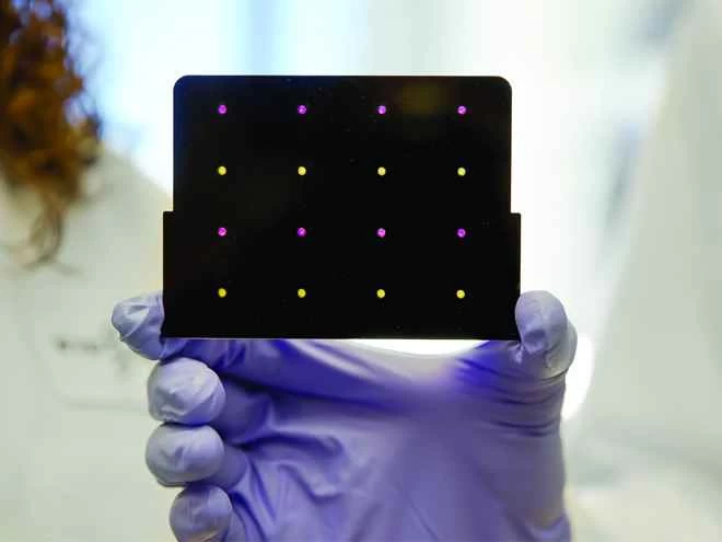 MIT's Rapid Zika Test: A Low-Cost Zika Test