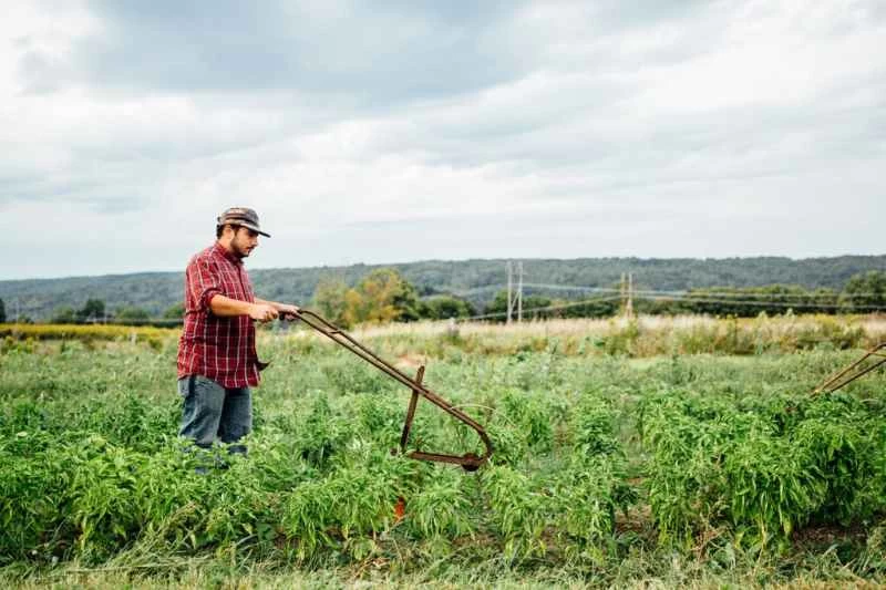 小規模農家は古い機械と新しい技術を組み合わせている