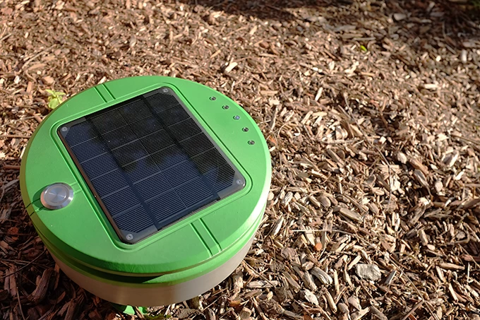 植物ルンバ：テルティル