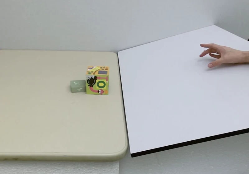 新しいコンピュータプログラムは、私たちと同じように物事の動きを予測できる