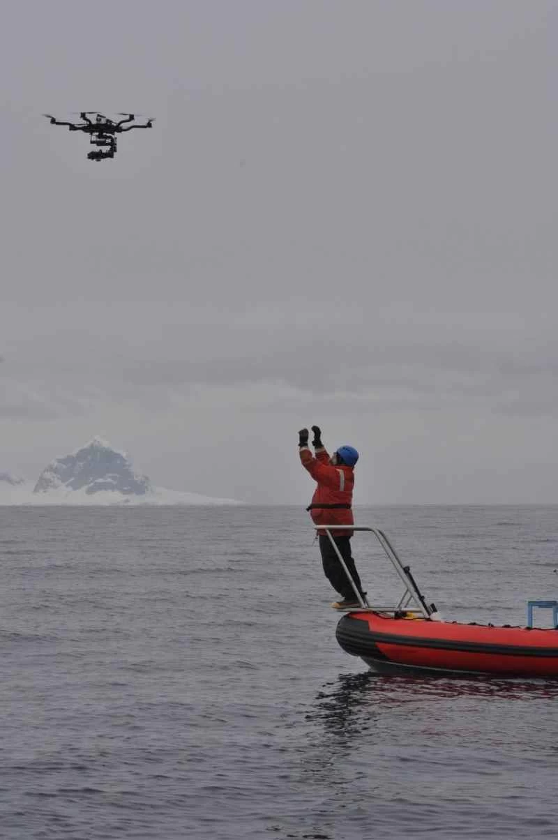 ドローンが野生動物に狙いを定めている