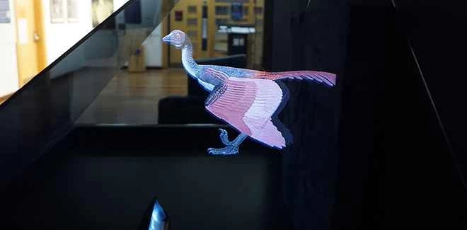 動く化石は科学者が絶滅種の再発見を手助けしている